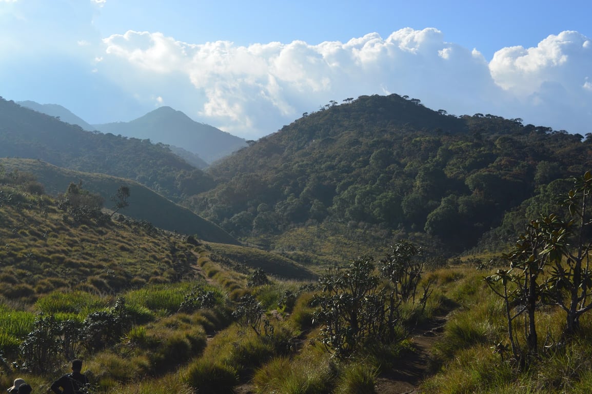 Horton Plains National Park