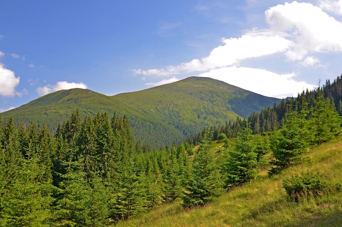 Hoverla Mountain