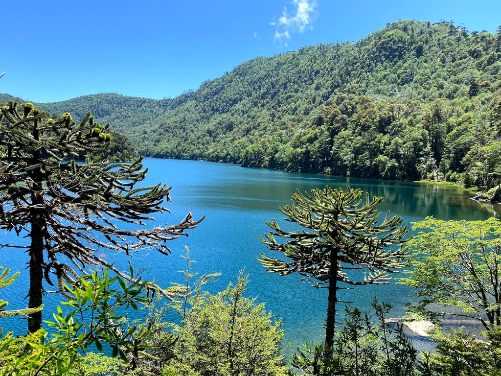 Huerquehue National Park
