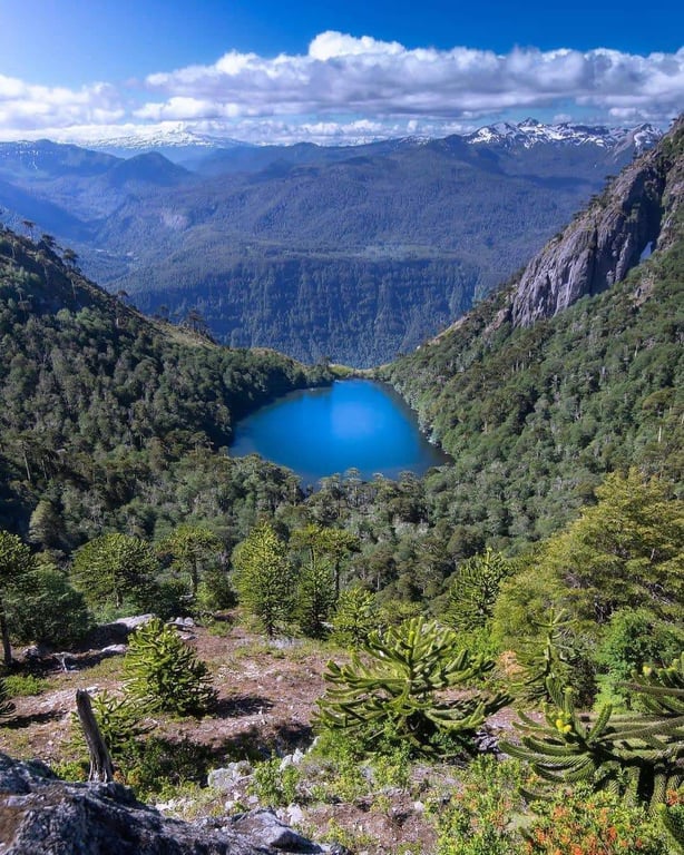 Huerquehue National Park