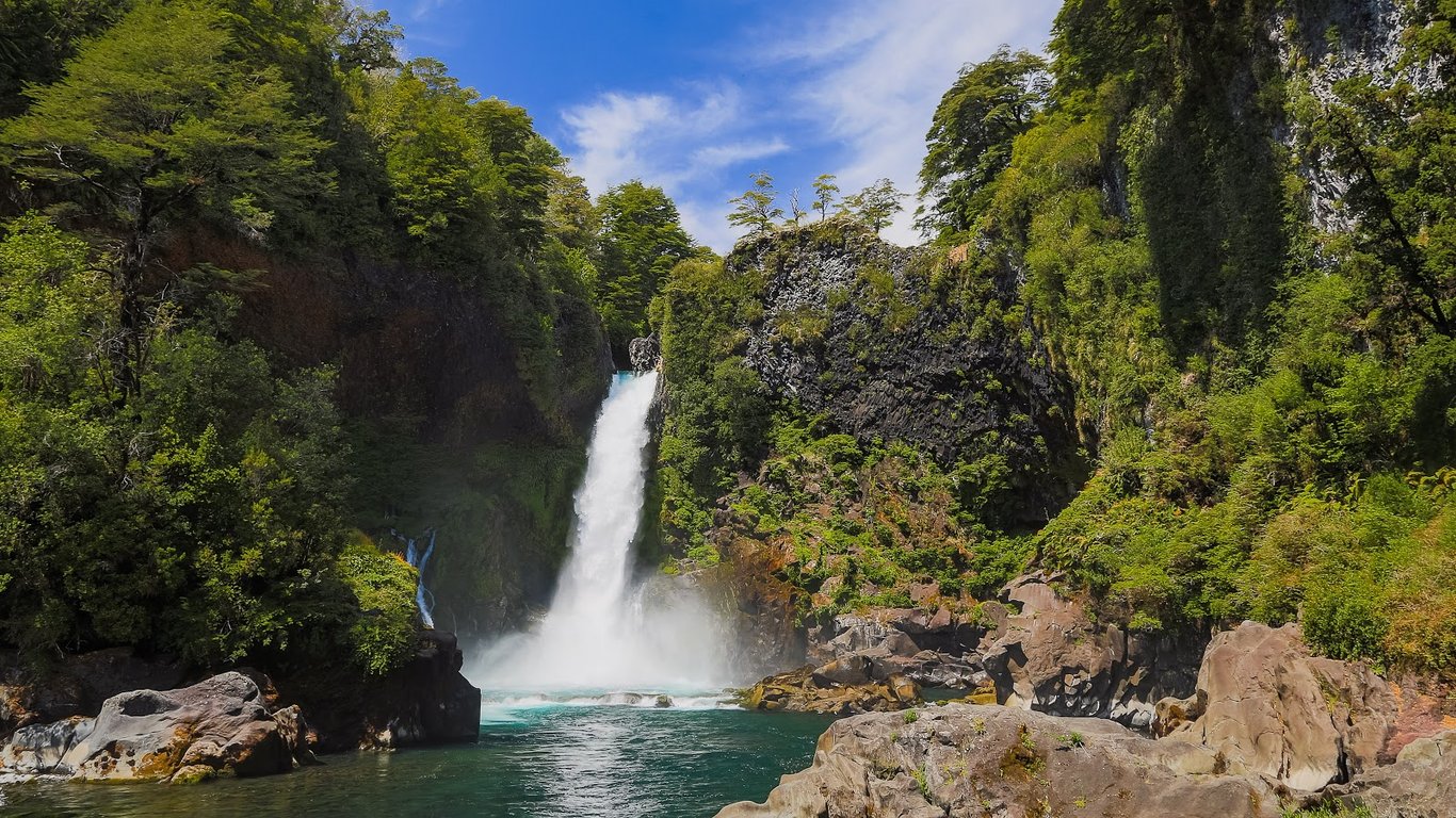 Huilo-Huilo Reserve