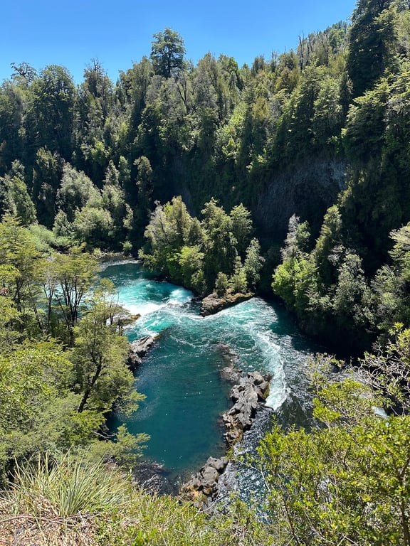 Huilo-Huilo Reserve
