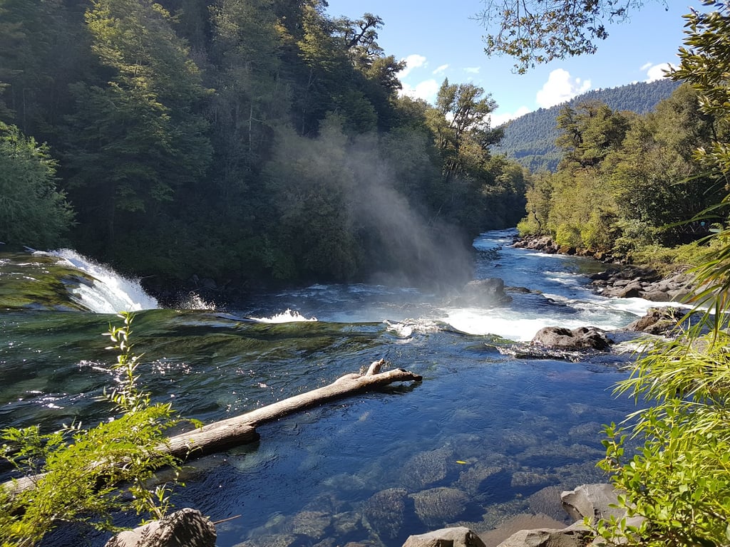 Huilo-Huilo Reserve