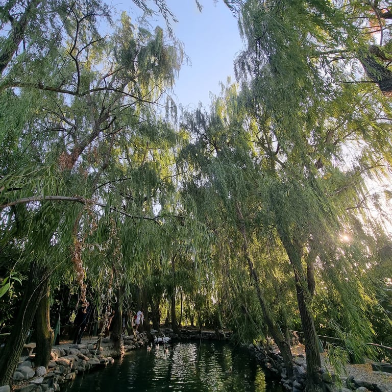 Hunot Canyon