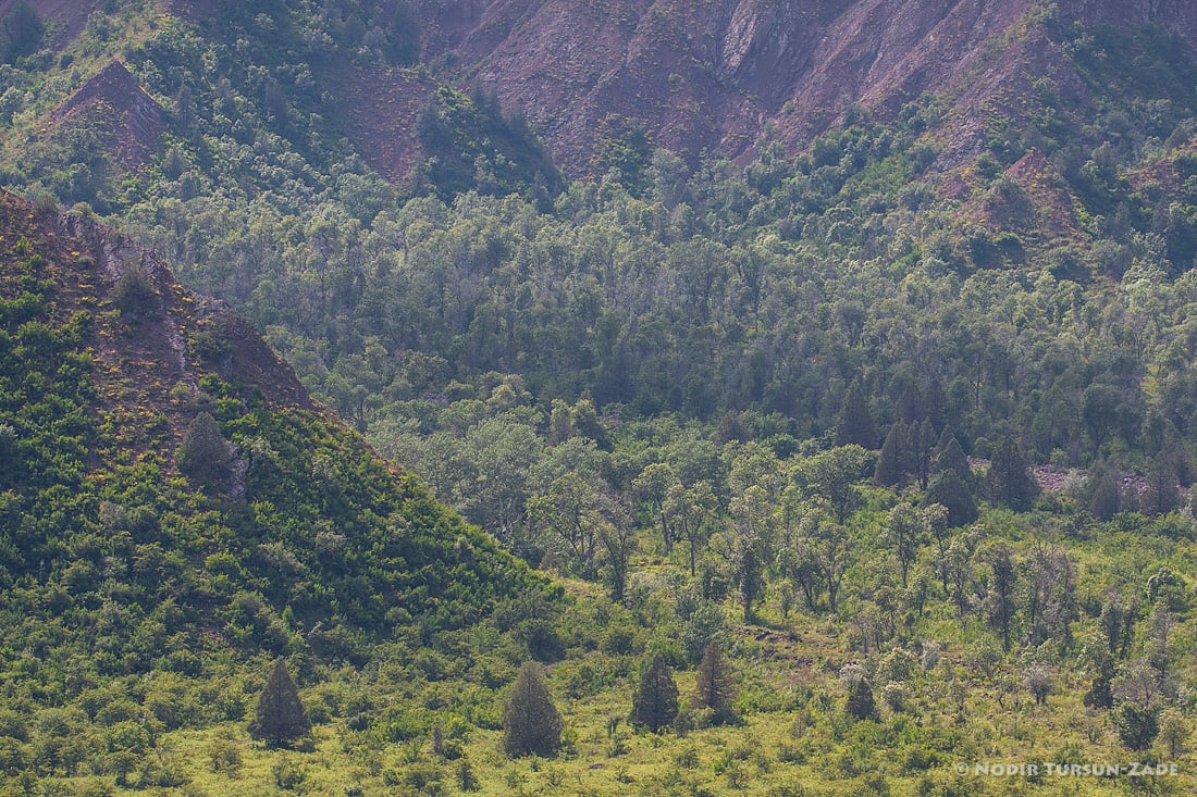 Shuraba Pass