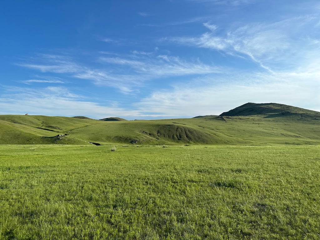 Hustai National Park