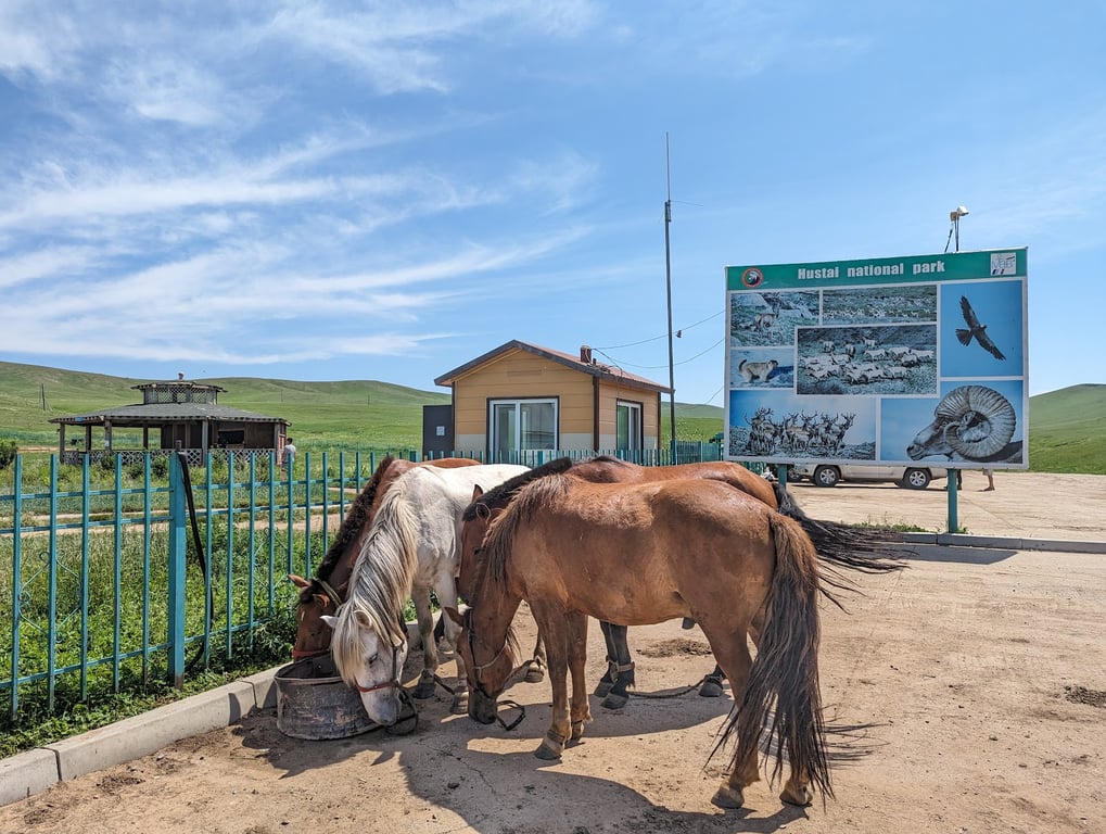 Hustai National Park