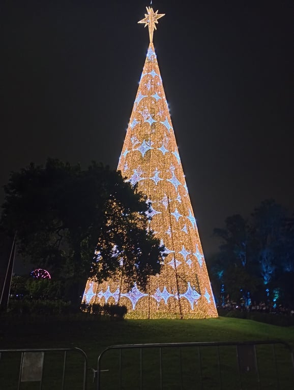 Ibirapuera Park
