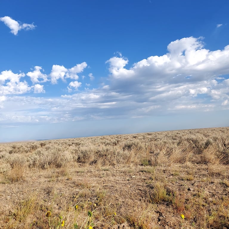Bruneau Canyon Overlook