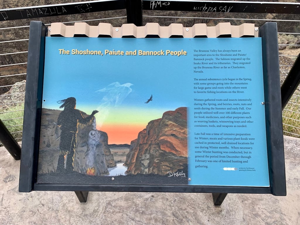 Bruneau Canyon Overlook