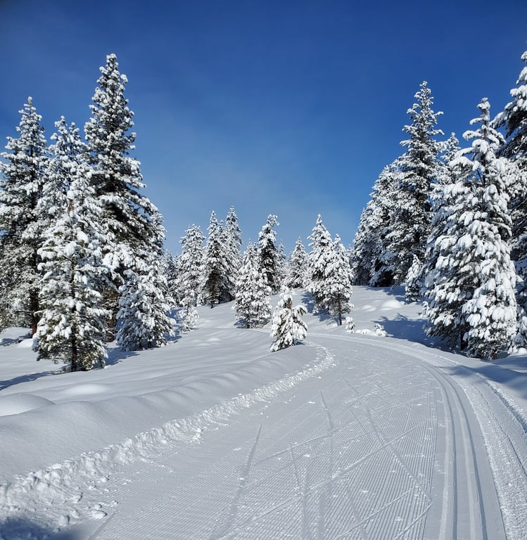 Ponderosa State Park