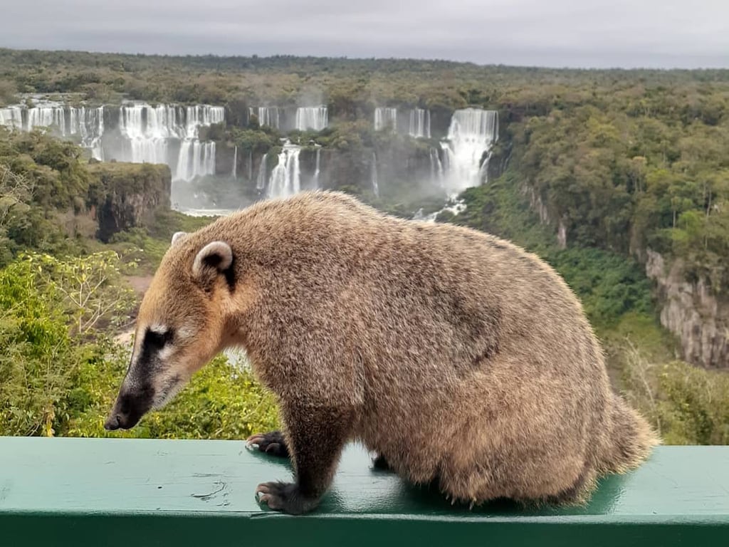 Iguazú Falls