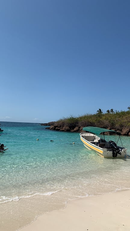 Isla Iguana
