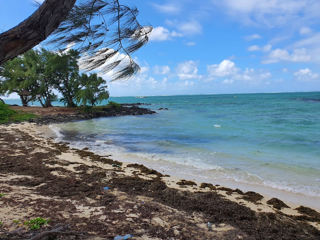 Île aux Cerfs