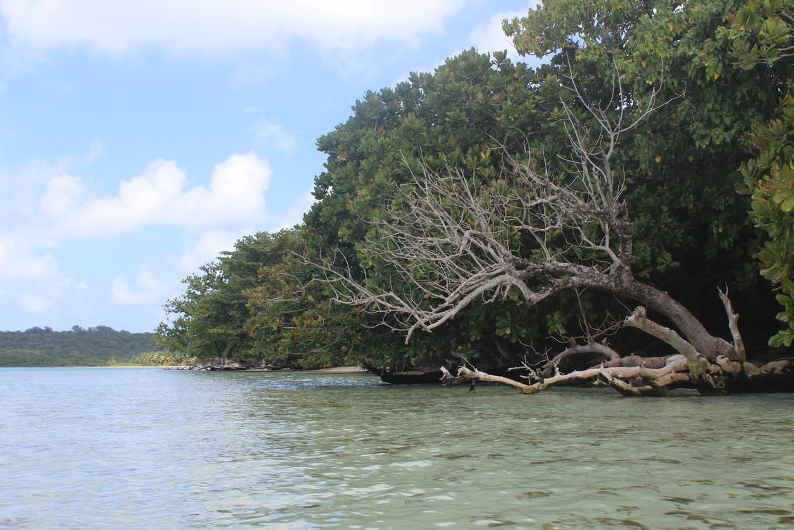 Ile aux Nattes