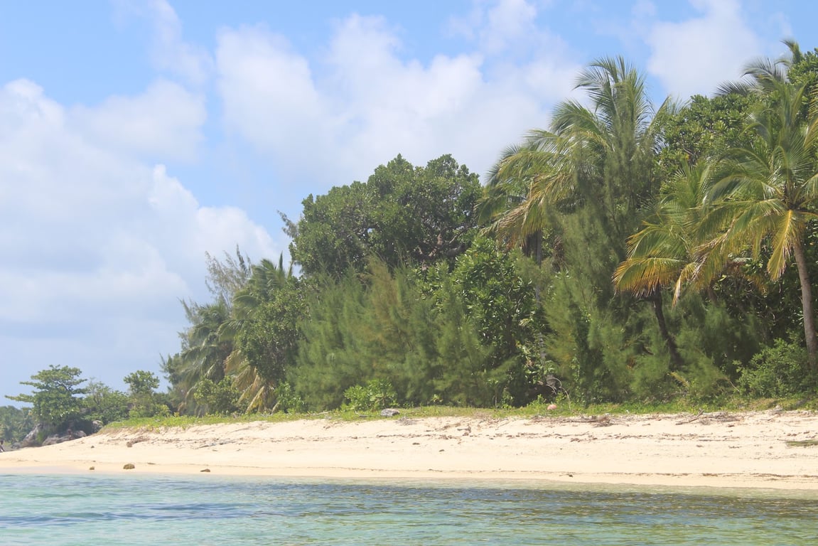 Ile aux Nattes