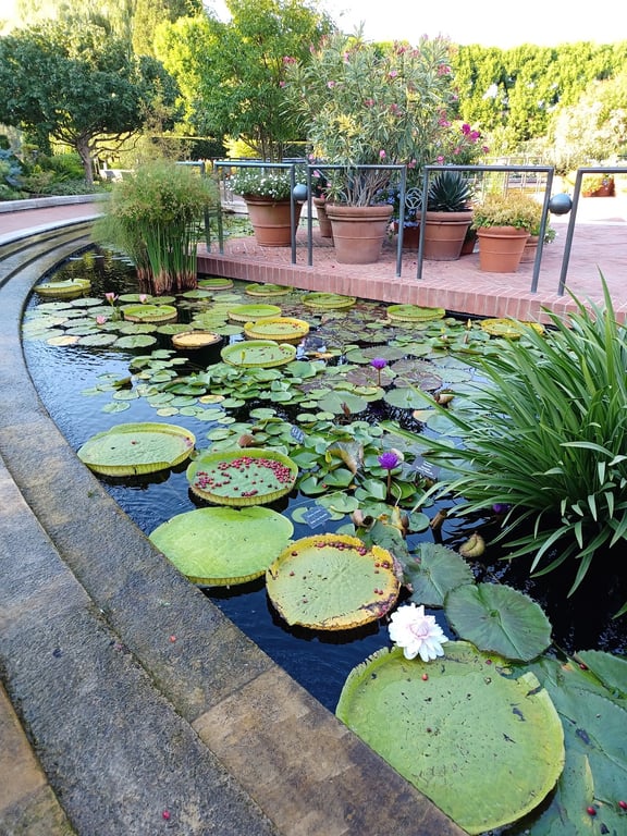 Chicago Botanic Garden