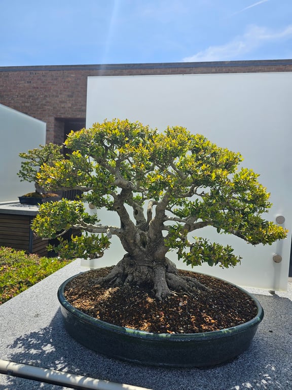 Chicago Botanic Garden