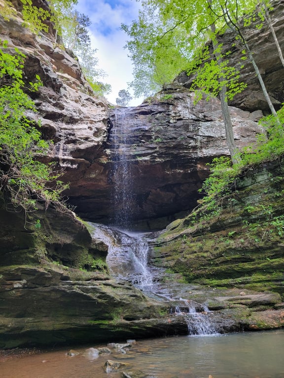 Ferne Clyffe State Park