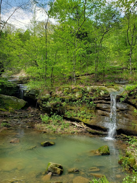 Ferne Clyffe State Park