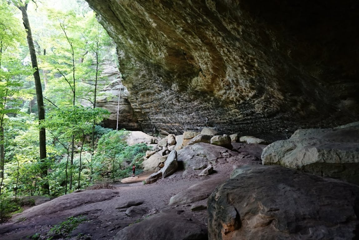 Ferne Clyffe State Park