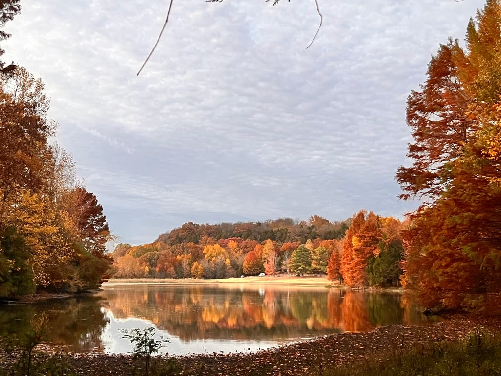 Ferne Clyffe State Park