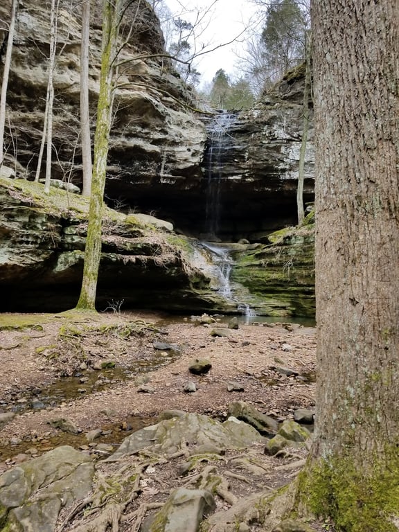 Ferne Clyffe State Park