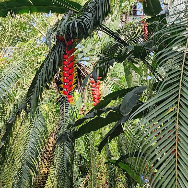 Lincoln Park Conservatory