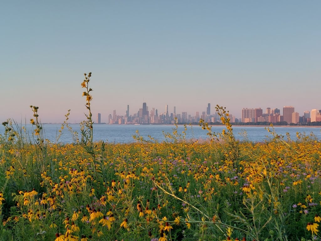 Montrose Point Bird Sanctuary