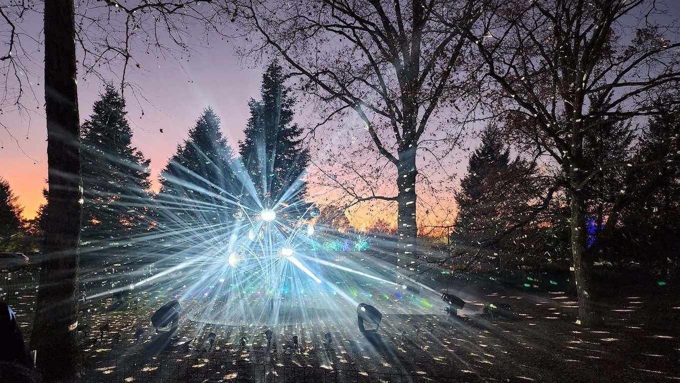 Morton Arboretum