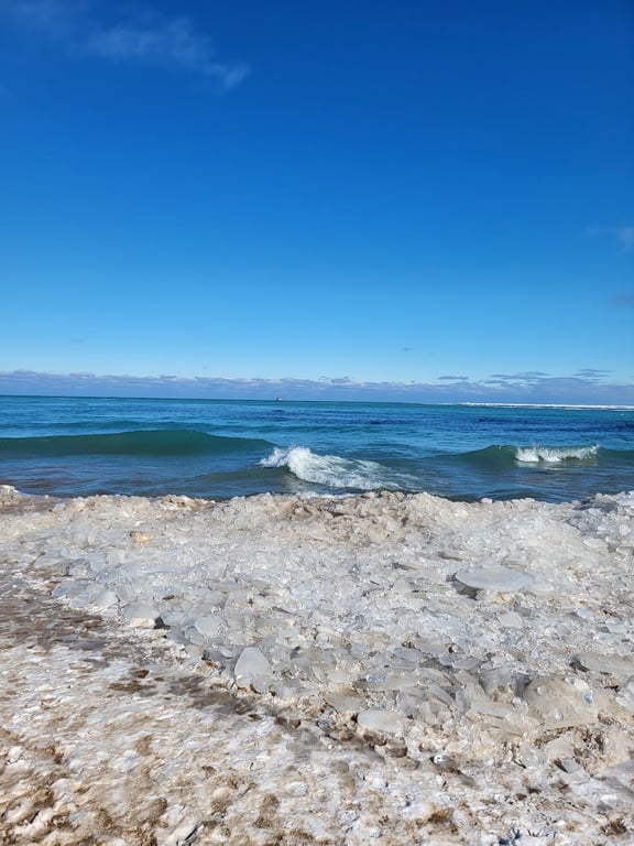 Oak Street Beach