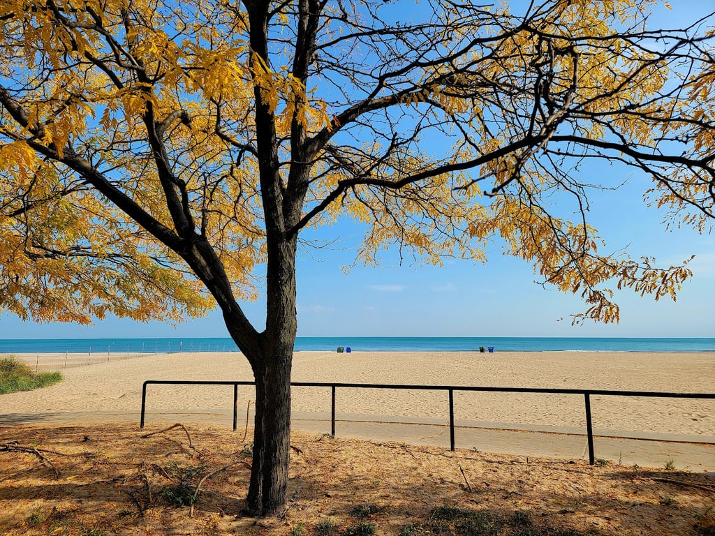 Oak Street Beach