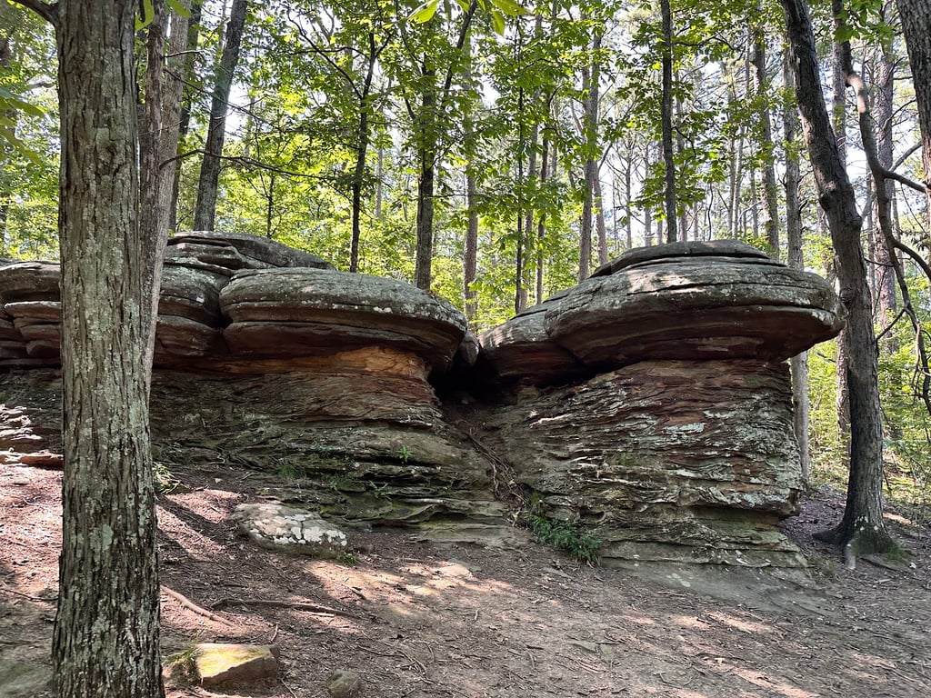 Shawnee National Forest