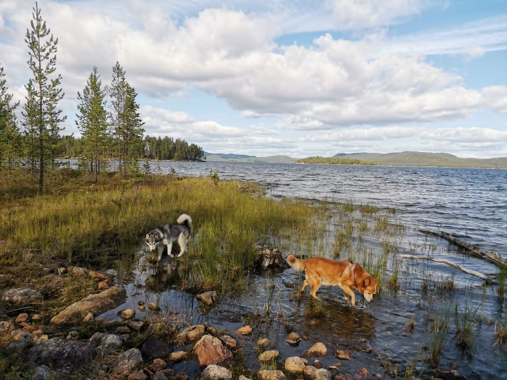Inari Lake Inari