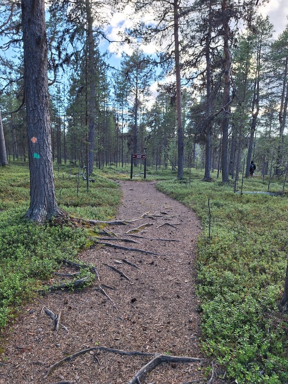 Inari Lemmenjoki NP