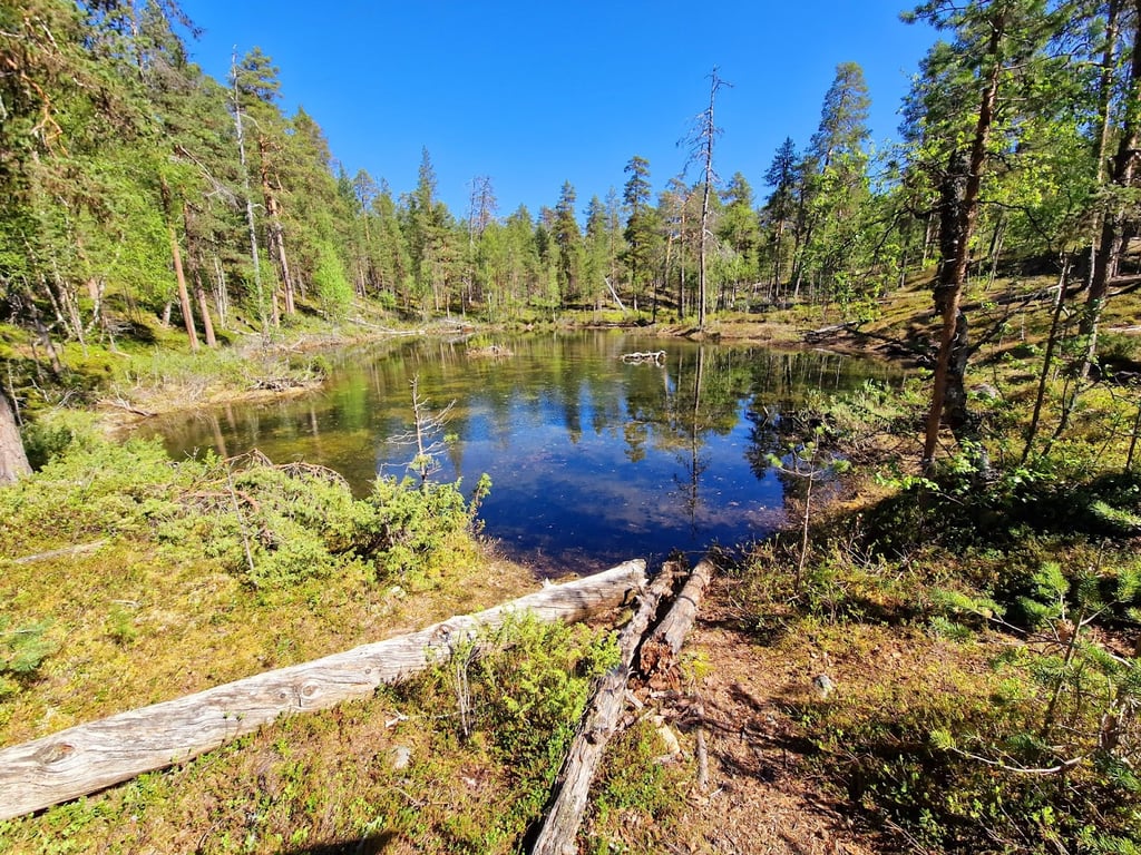Inari Lemmenjoki NP