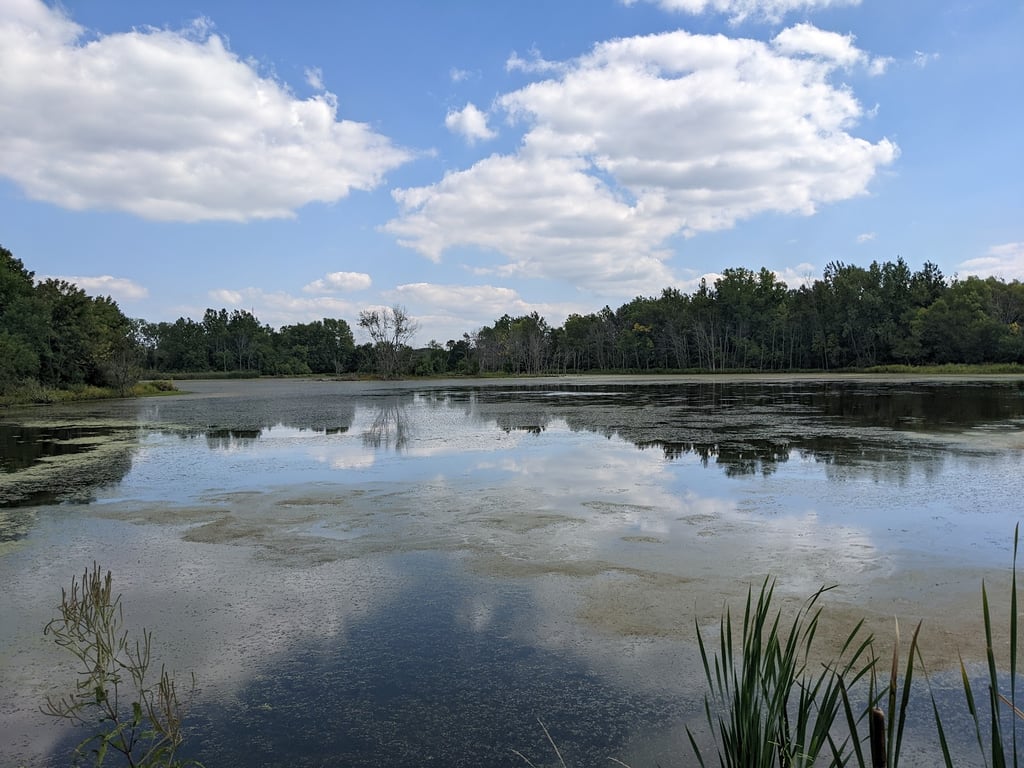 Celery Bog Nature Area