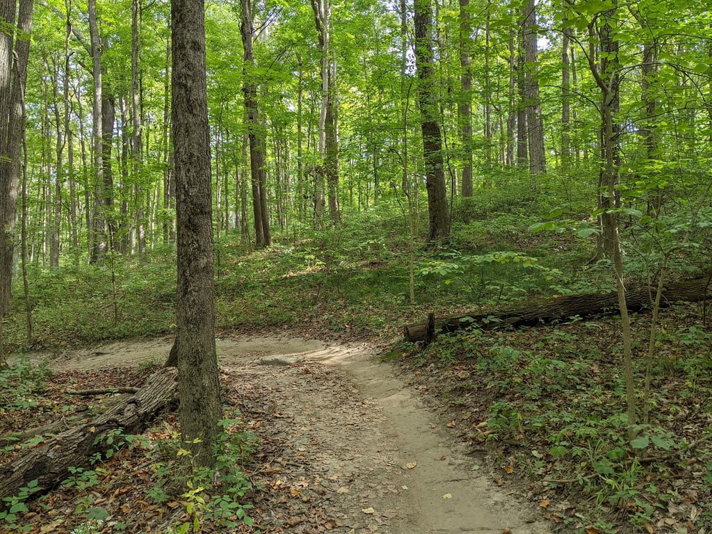 Fort Harrison State Park