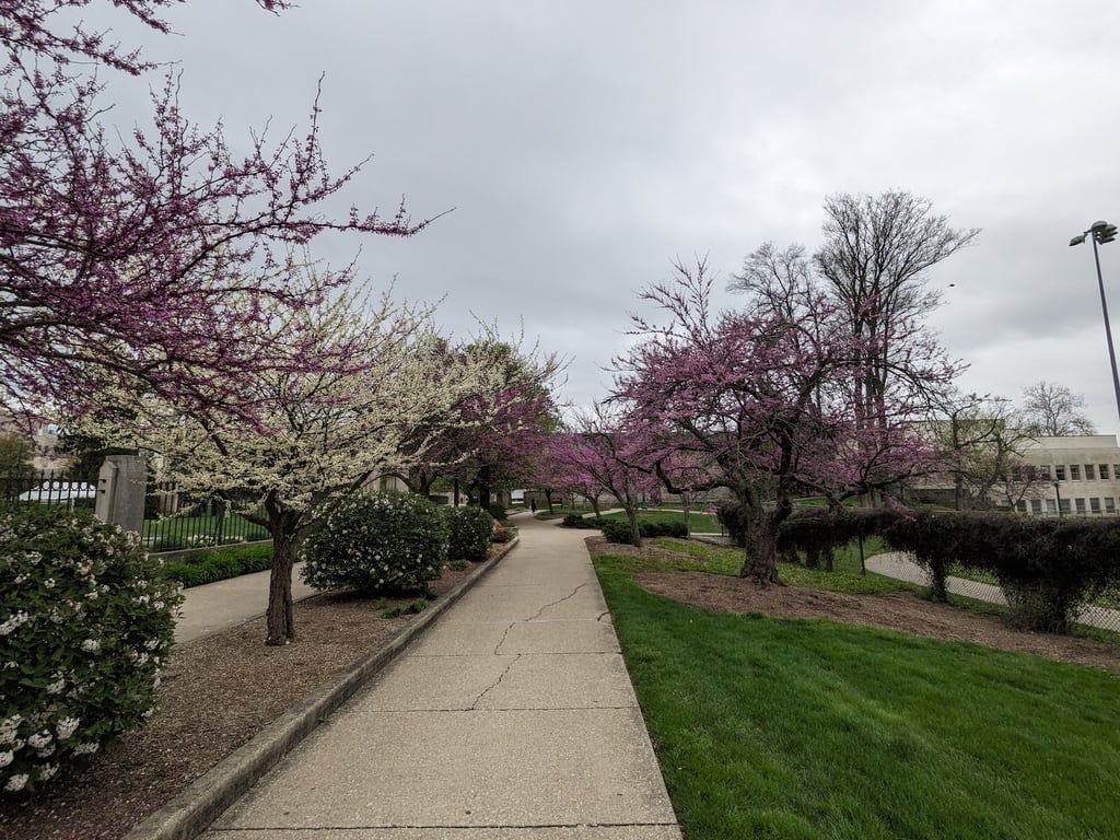 Indiana University Arboretum