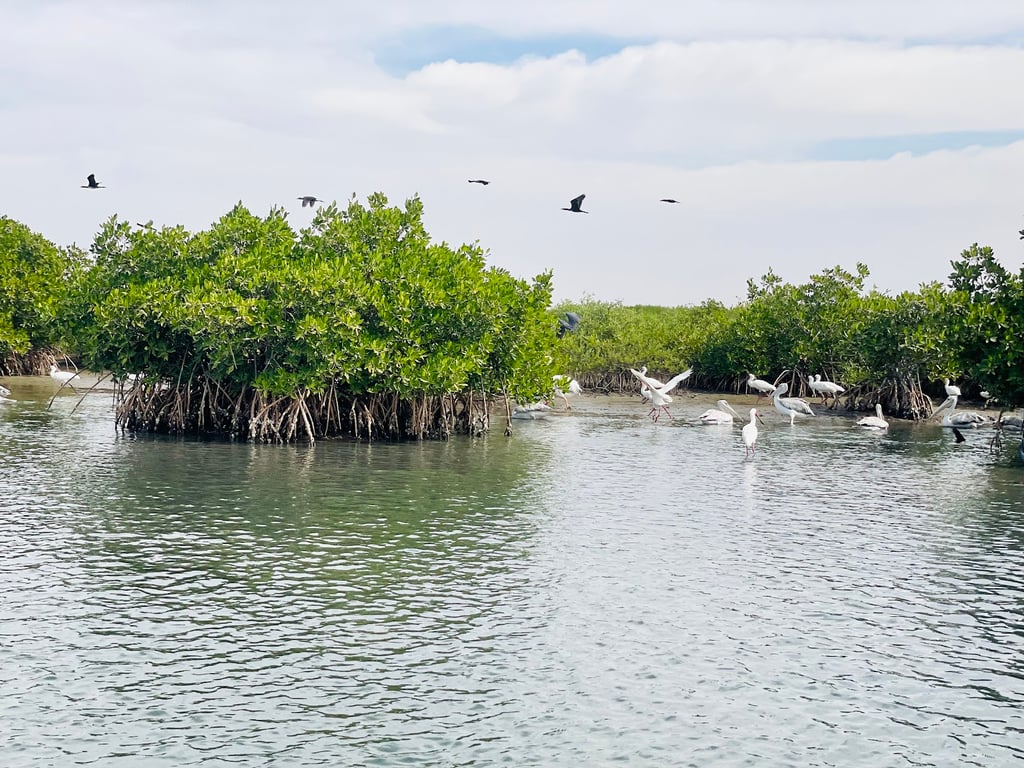 Sine-Saloum Delta