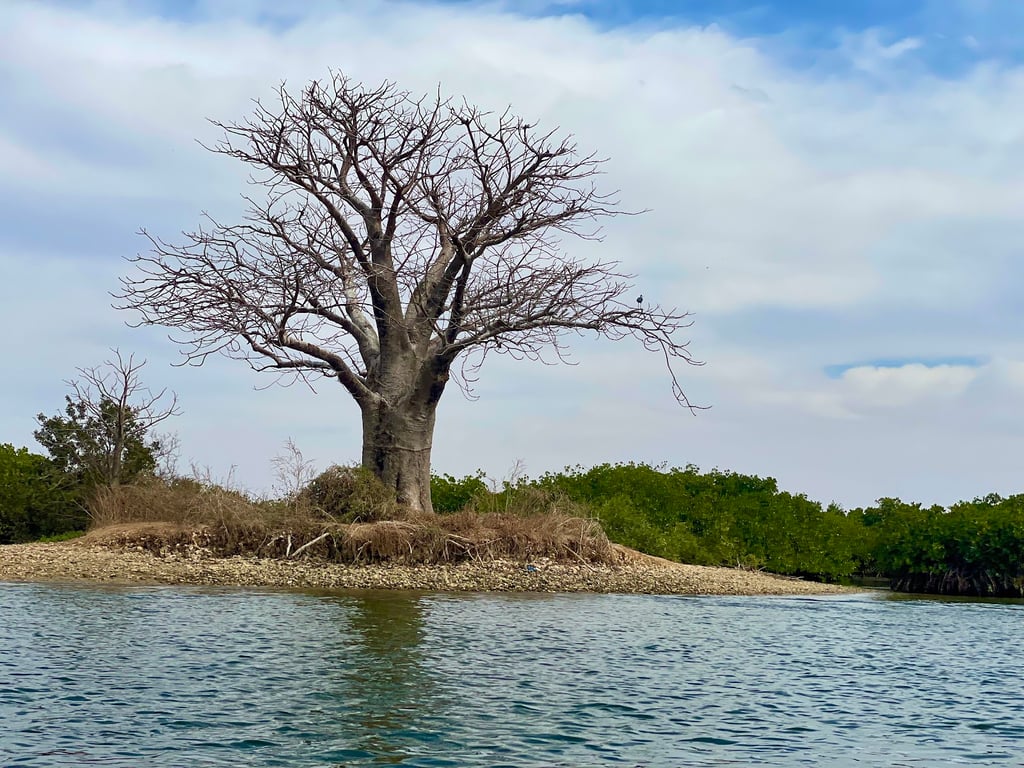 Sine-Saloum Delta