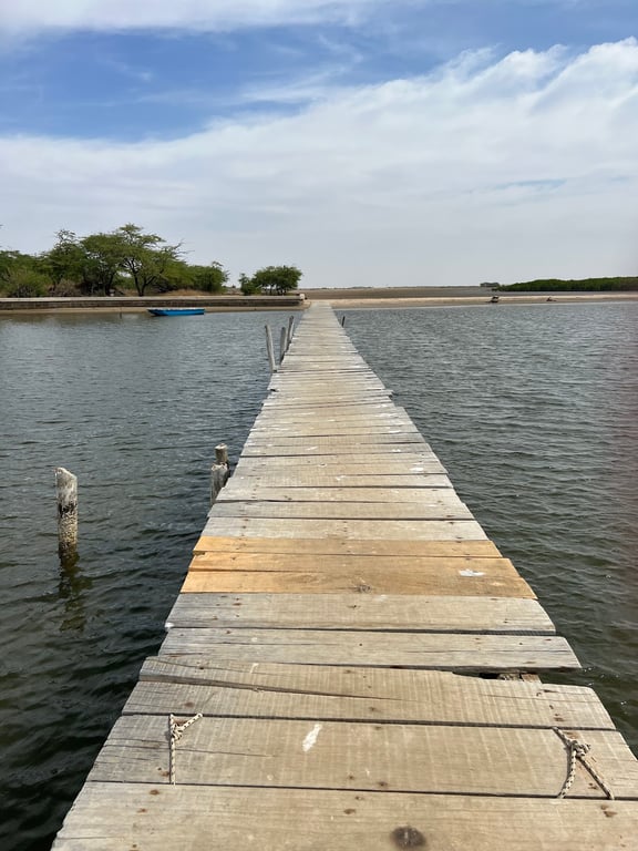 Sine-Saloum Delta