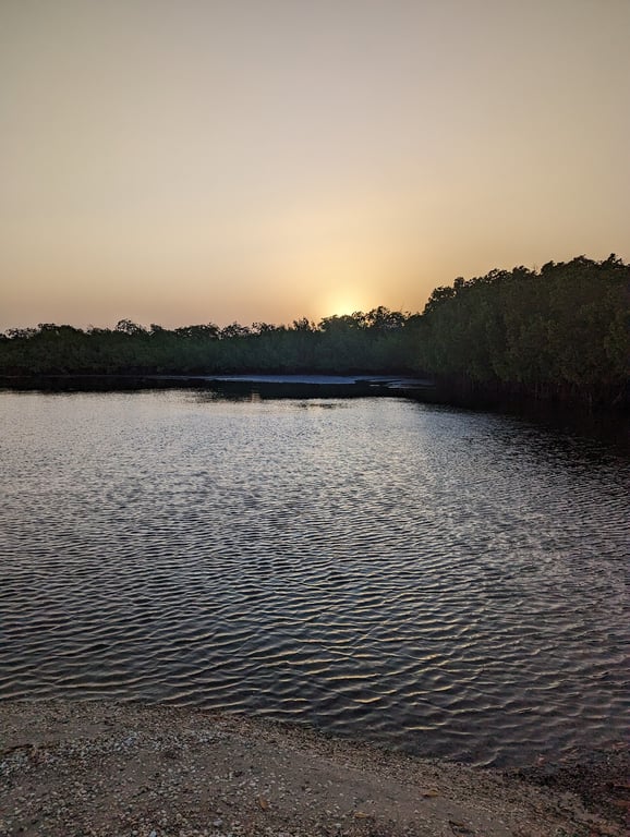 Sine-Saloum Delta
