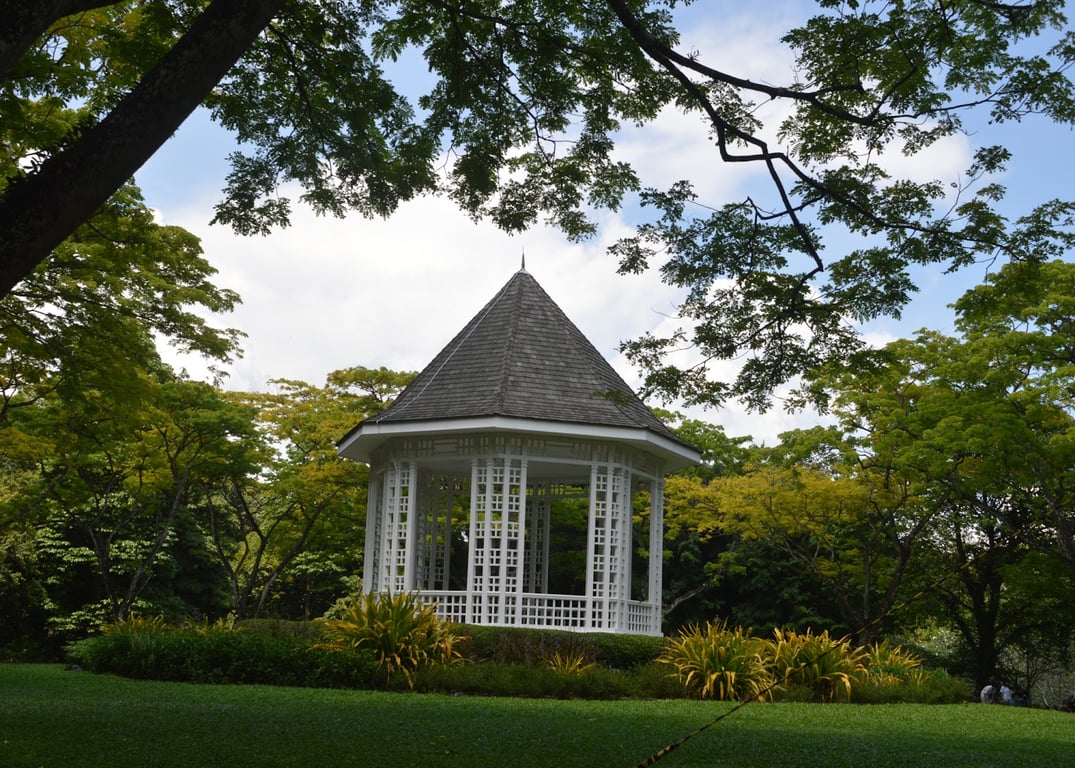 Singapore Botanic Gardens