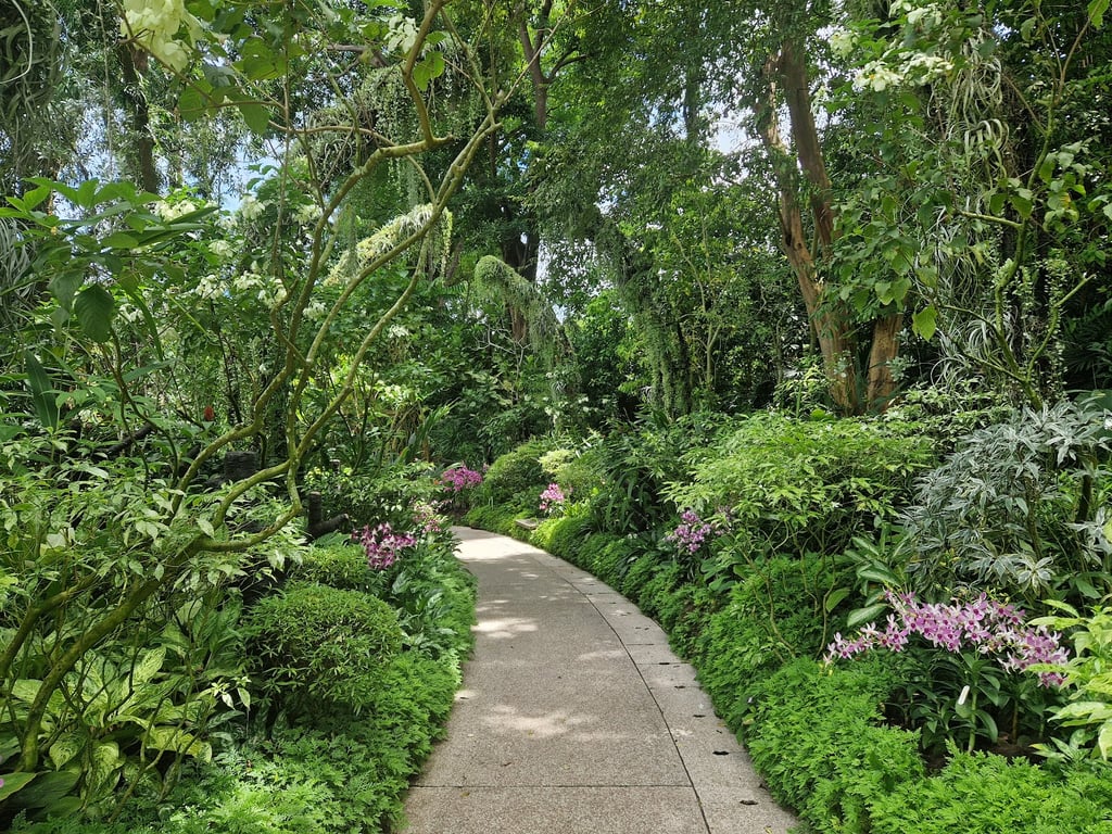 Singapore Botanic Gardens