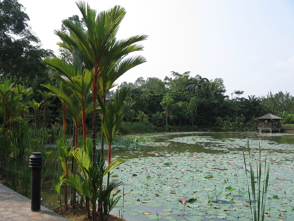 Singapore Botanic Gardens