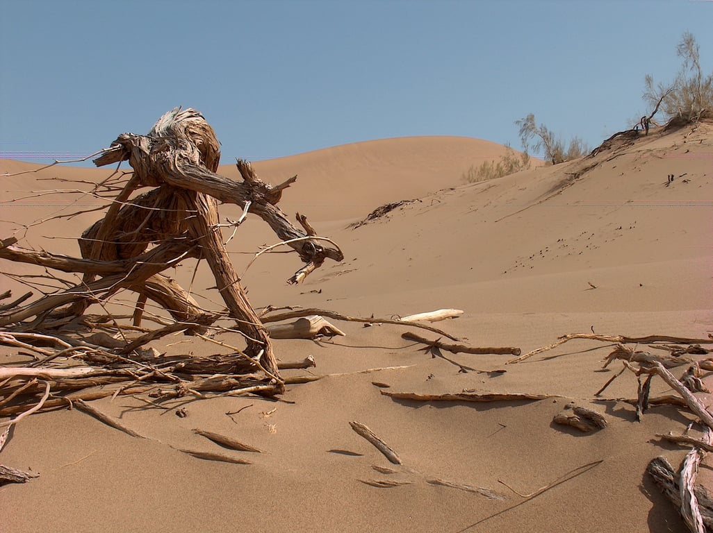 Singing Barkhan Dune
