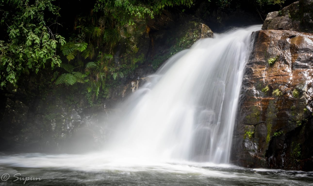 Sinharaja Forest Reserve