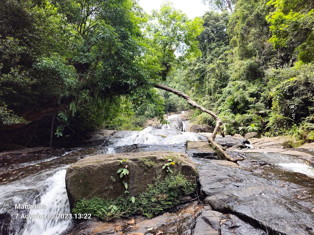 Sinharaja Forest Reserve