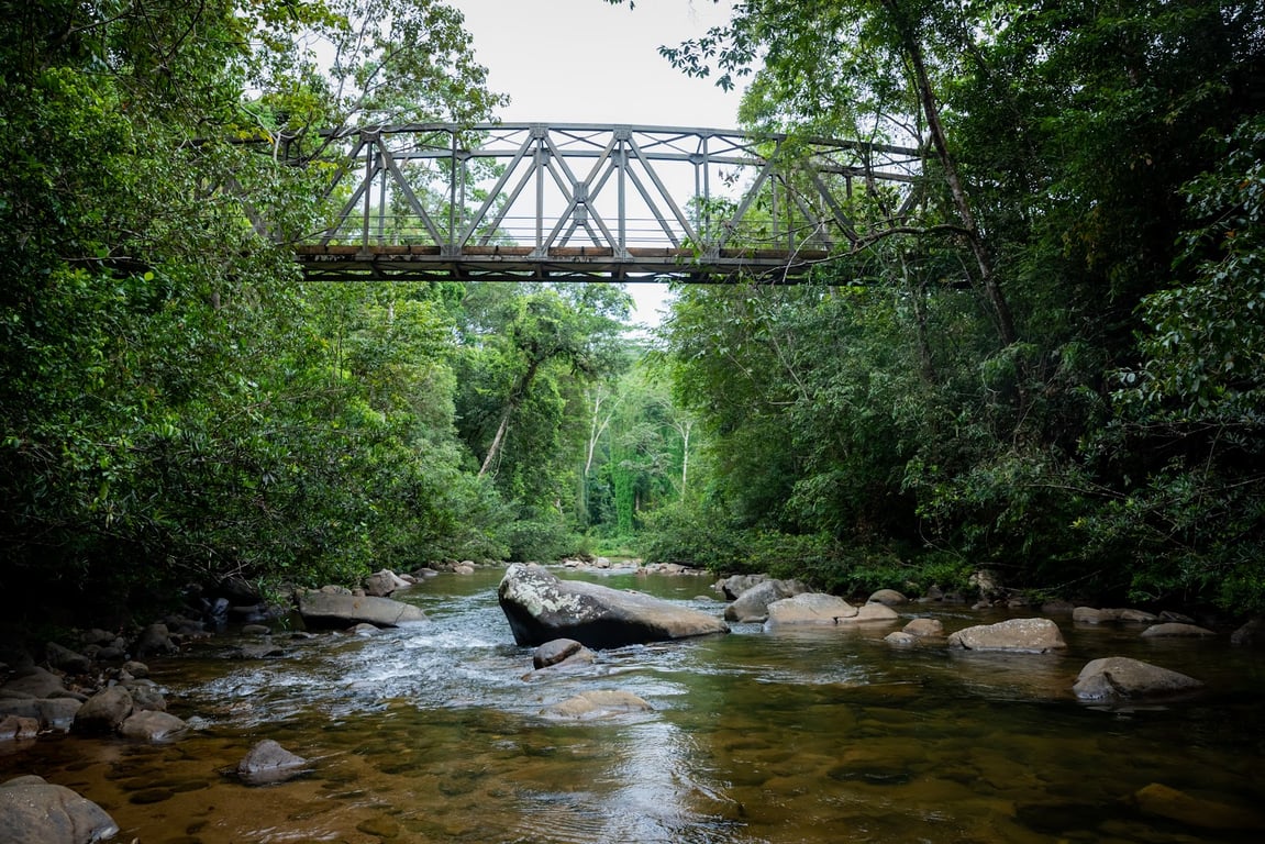 Sinharaja Forest Reserve